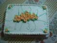 /album/galeria-de-fotos/a19-jpg/